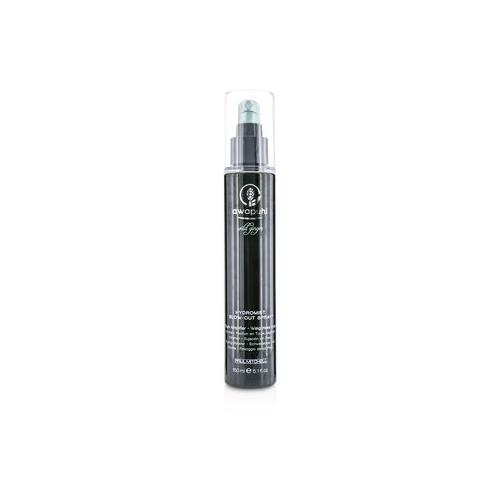 Paul Mitchell Awapuhi Wild Ginger Style Hydromist Спрей для Укладки Феном (Невесомая Фиксация) 150ml/5.1oz