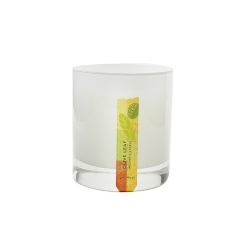 Thymes Ароматическая Свеча - Olive Leaf 212g/7.5oz