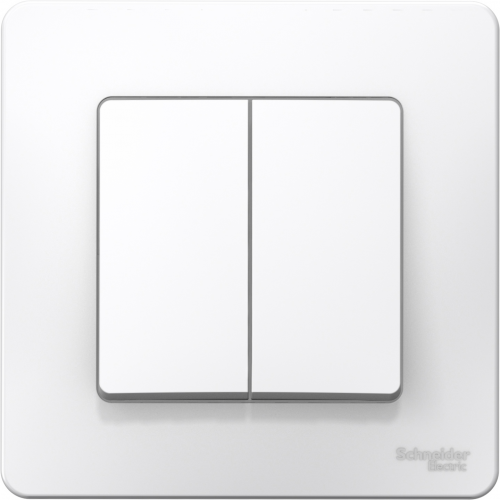 Выключатель встраиваемый двухклавишный Schneider Electric Blanca BLNVS006501 белый