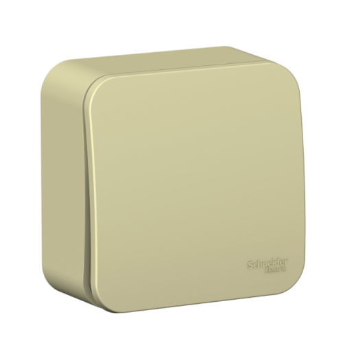 Выключатель Schneider Electric Blanca BLNVA101017