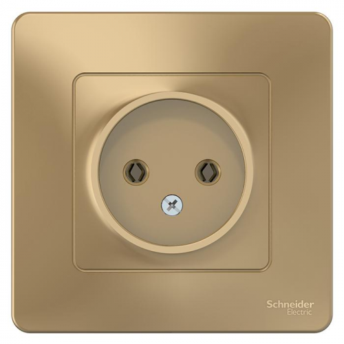 Розетка Schneider Electric Blanca BLNRS000014 одноместная без заземления титан