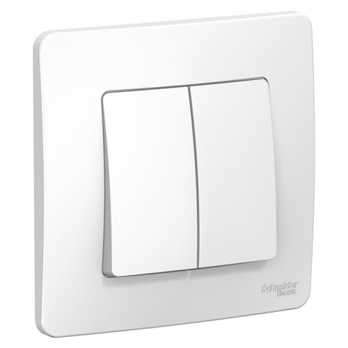 Переключатель накладной Schneider Electric Blanca BLNVS106601 двухклавишный белый