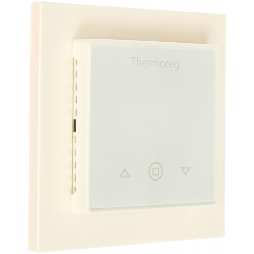 Терморегулятор Thermoreg TI-300 Thermo 350049070858