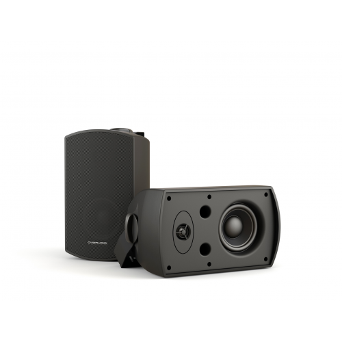 CVGaudio RF416TBl высококачественная настенная акустика