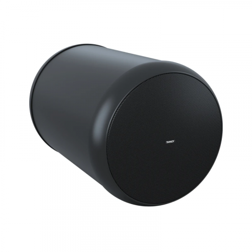 TANNOY OCV 6 высококачественная подвесная двухполосная акустическая система