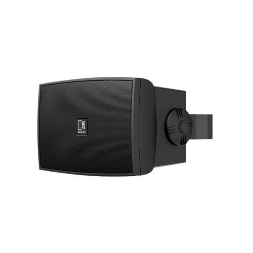 WX302MK2/OB Audac двухполосная всепогодная акустика