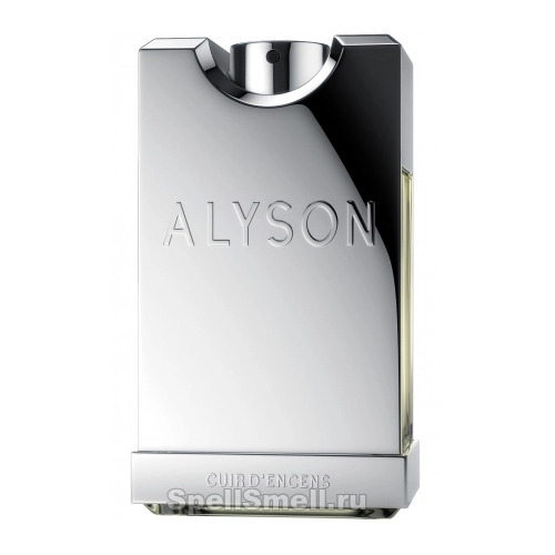  Alyson Oldoini Cuir d Encens - Парфюмерная вода 100 мл с доставкой – оригинальный парфюм Элисон Олдоини Куир Д Енсенс