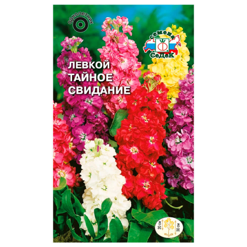 Цветы левкой маттиола тайное свидание карликовая смесь 0,1г седек СеДеК