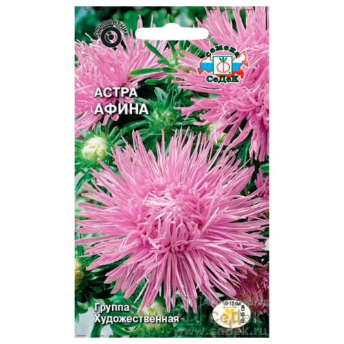 Цветы астра афина игольчатая аметистовая 0,2г седек СеДеК