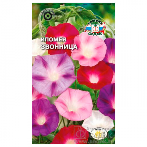 Цветы ипомея звонница смесь 0,5г седек СеДеК