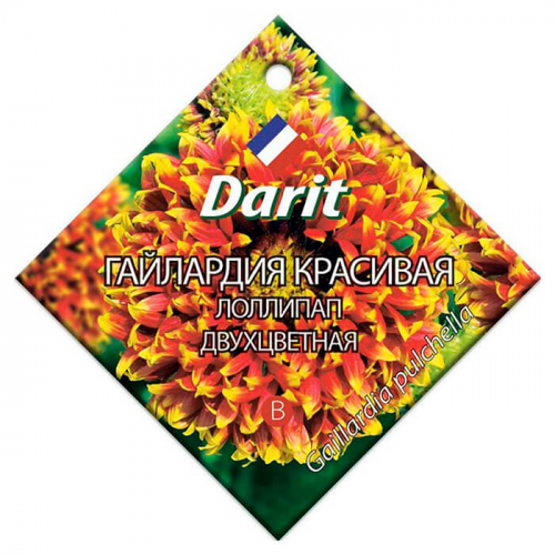 Цветы гайлардия красивая лоллипап двухцветная 0,1г Darit многолетние