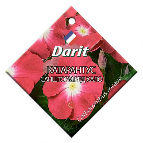 Цветы катарантус саншторм ред хало 10шт Darit однолетние