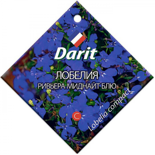 Цветы лобелия ривьера миднайт блю 10шт Darit однолетние