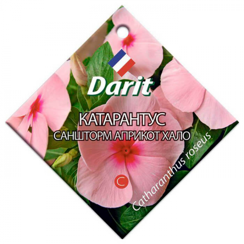 Цветы катарантус саншторм априкот хало 10 шт дарит однолетние Darit