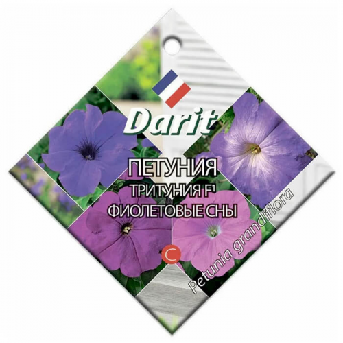 Цветы петуния тритуния f1 фиолетовые сны 10 шт дарит однолетние Darit