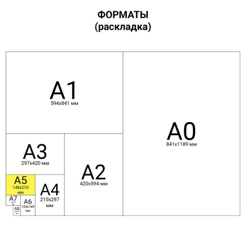 Тетрадь 48 л клетка брауберг дивные птицы блестки а5 402811 BRAUBERG