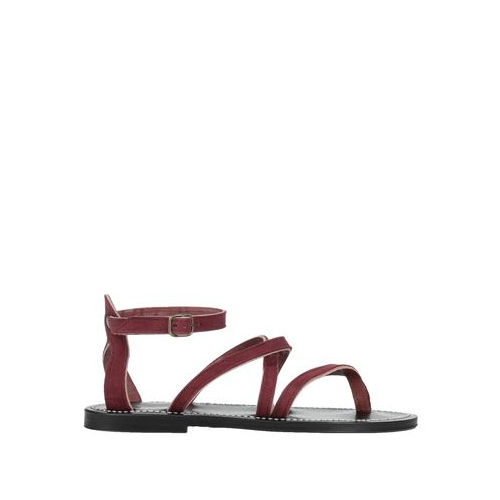 Вьетнамки HAUS GOLDEN GOOSE 17111958DA