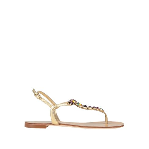 Вьетнамки GIUSEPPE ZANOTTI 17142147OF