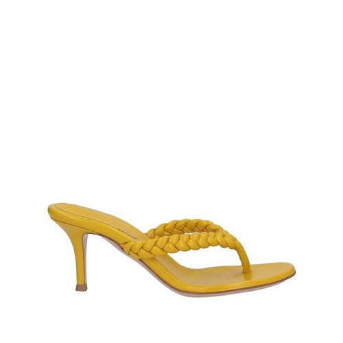 Вьетнамки GIANVITO ROSSI 17142926AD