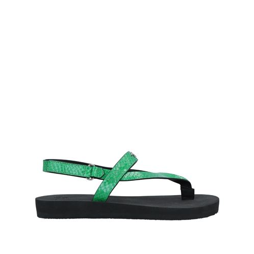 Вьетнамки GIUSEPPE ZANOTTI 17143764MB