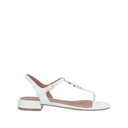 Вьетнамки EMPORIO ARMANI 17158663NU