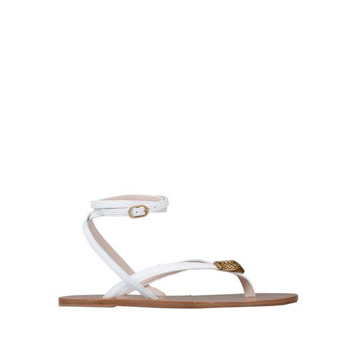 Вьетнамки ROBERTO CAVALLI 11769186VI