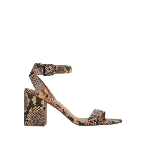 Сандалии STEVE MADDEN 11879537BE