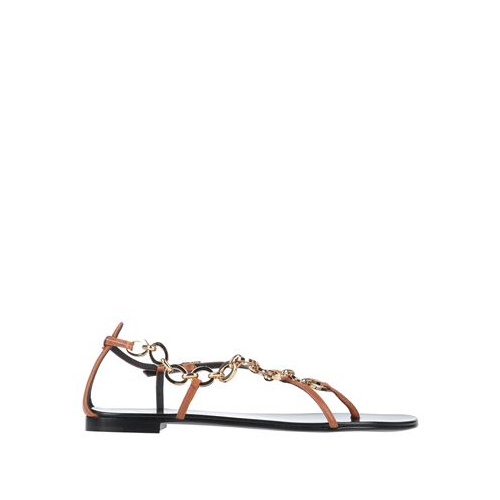 Вьетнамки GIUSEPPE ZANOTTI 11951121SL