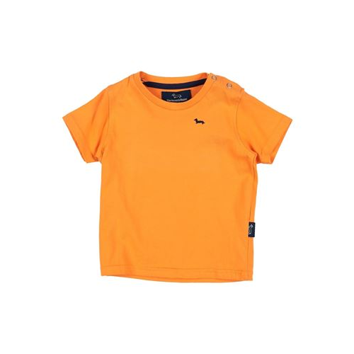 Футболка HARMONT&BLAINE 12134248KD