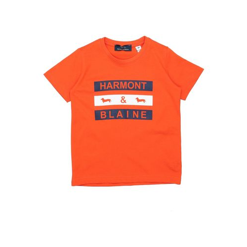 Футболка HARMONT&BLAINE 12500976XV
