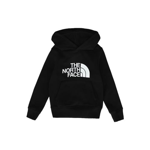 Толстовка THE NORTH FACE 12538376LL