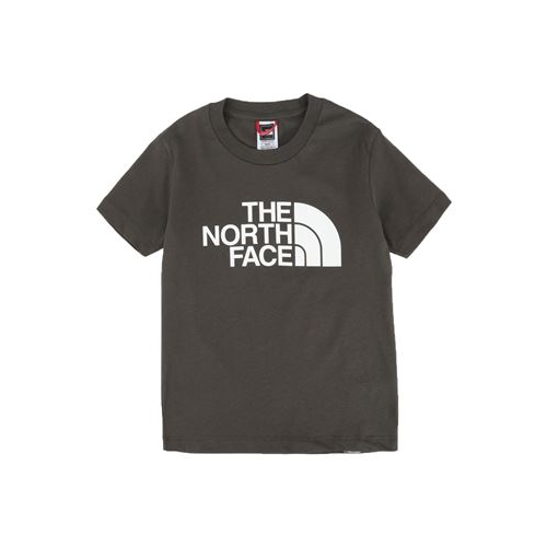 Футболка THE NORTH FACE 12538378UA