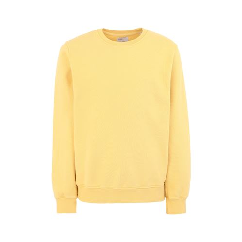 Толстовка COLORFUL STANDARD 12568965HU