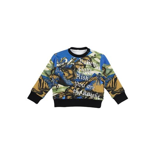 Толстовка ROBERTO CAVALLI JUNIOR 12584773UC
