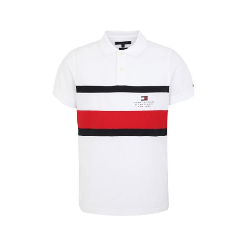 Поло TOMMY HILFIGER 12582523MP
