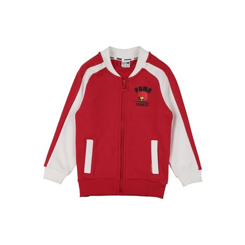 Толстовка PUMA 12605030CT