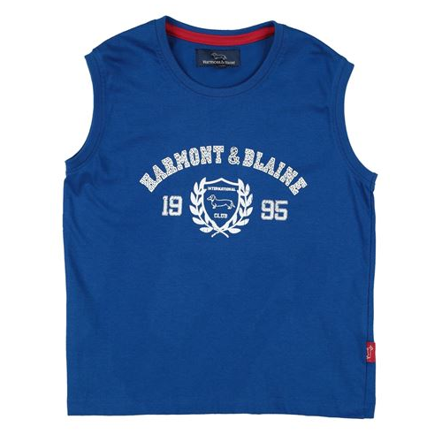 Футболка HARMONT&BLAINE 12638678PT
