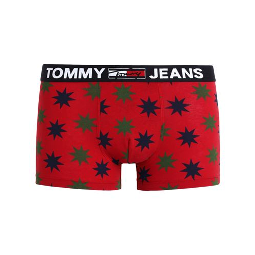 Боксеры TOMMY HILFIGER 48255739CO