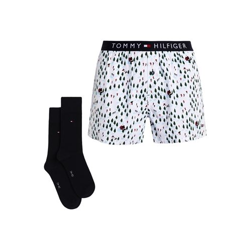 Боксеры TOMMY HILFIGER 48253316WW