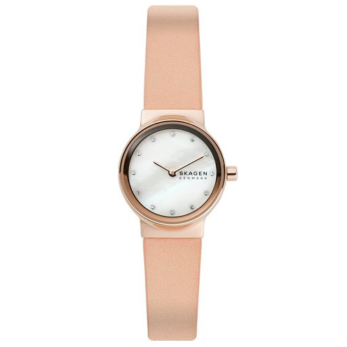 Наручные часы SKAGEN 58049948BR