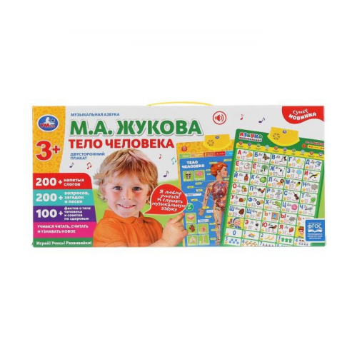 Умка Плакат двусторонний Музыкальная азбука Тело человека 48 шт