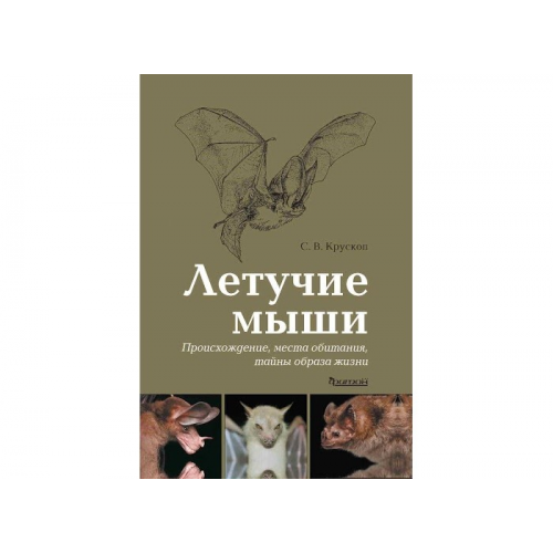 Издательство Фитон+ Книга Летучие мыши Происхождение, места обитания, тайны образа жизни