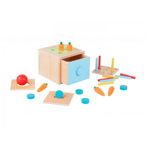 Деревянная игрушка Tooky Toy Развивающий бокс 4 в 1