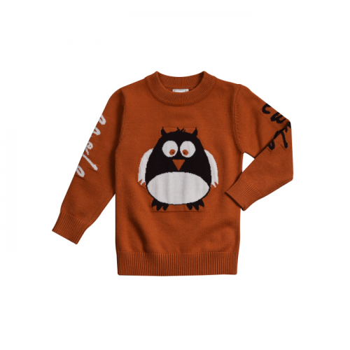 Cascatto Джемпер для мальчика DGDM1808