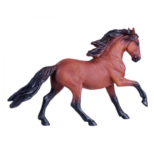 Konik Лузитанская лошадь гнедая