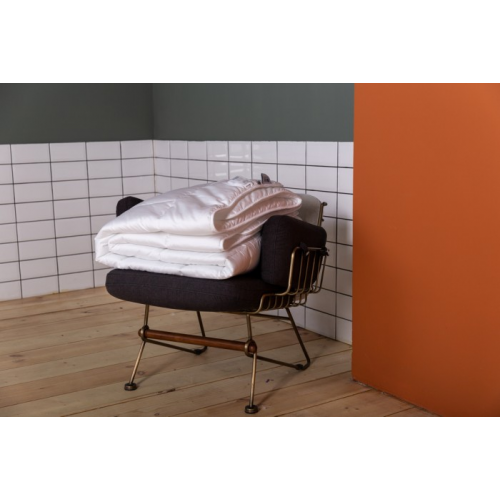Одеяло German Grass Premium Familie Non-Alergenic всесезонное 220x240 см