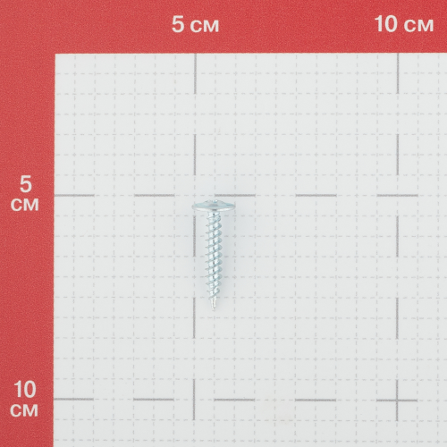 Саморезы клопы 25x4,2 мм (200 шт.)