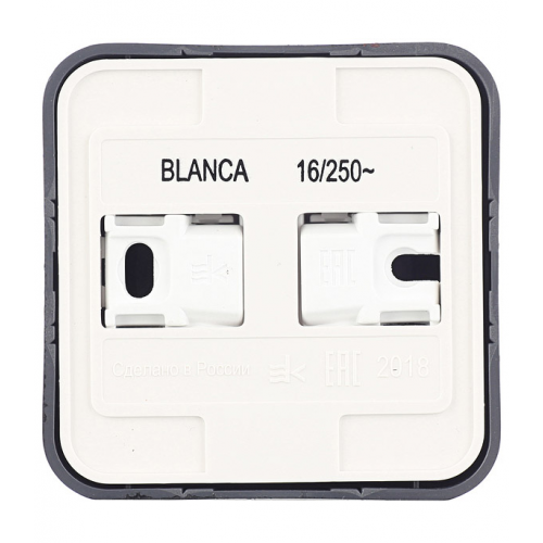 Розетка Schneider Electric Blanca BLNRA000116 открытая установка антрацит