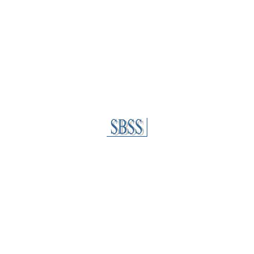 SBSS синхронизация распределенных гетерогенных баз данных (ANSI-версия) 5.4 2BT