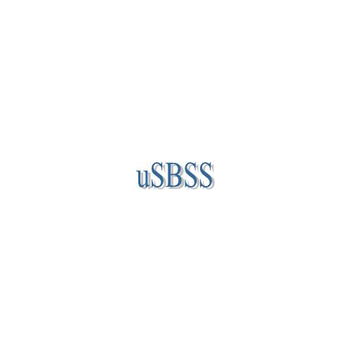 uSBSS - синхронизация распределенных гетерогенных баз данных (UNICODE-версия) 3.6 2BT